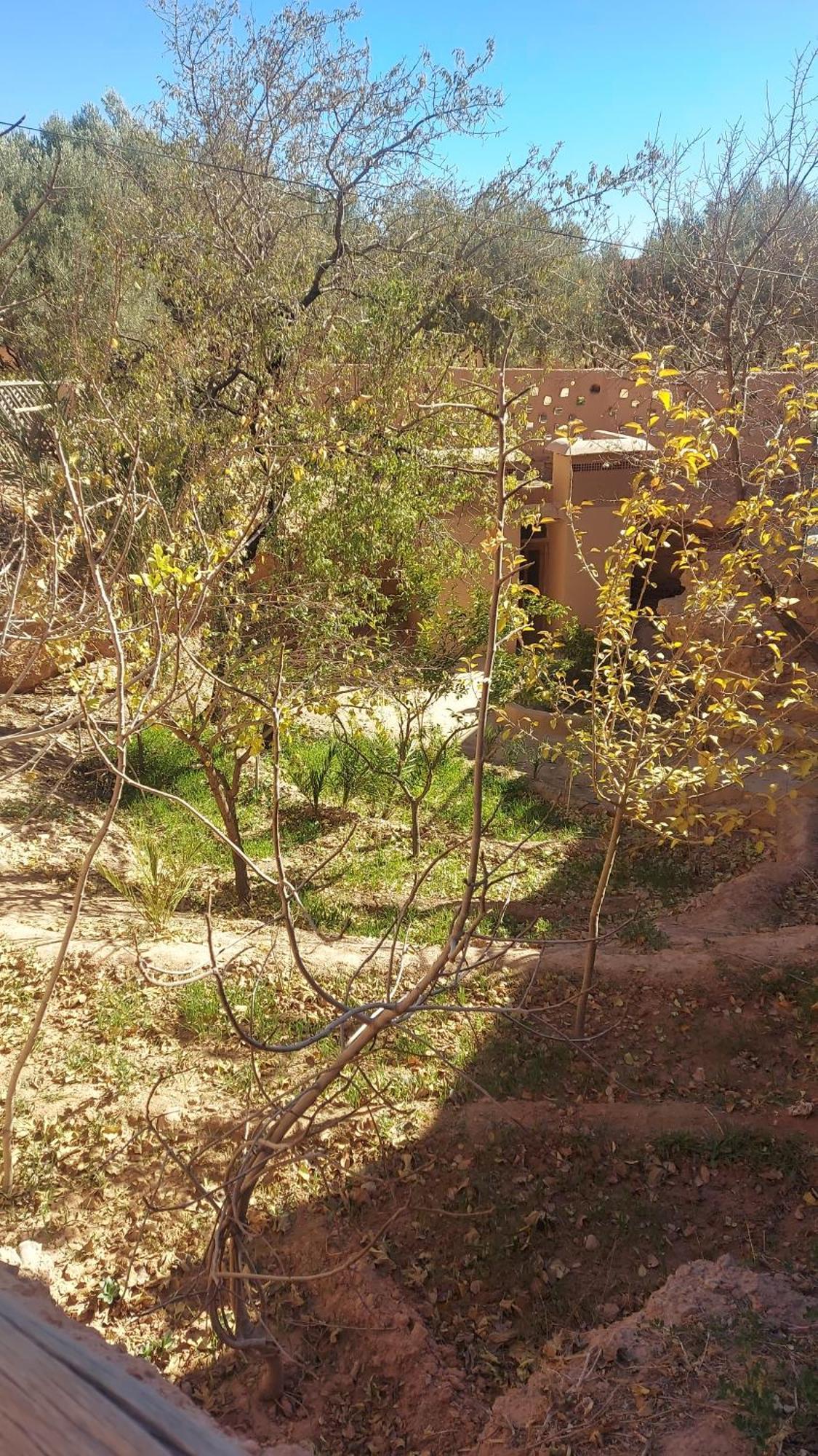 Ecolodge Miss Rose Chez La Famille Boumalne Dades Ngoại thất bức ảnh
