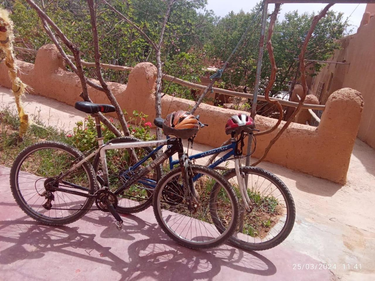 Ecolodge Miss Rose Chez La Famille Boumalne Dades Ngoại thất bức ảnh